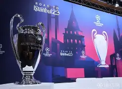 爱游戏娱乐-国米连续无缘欧冠