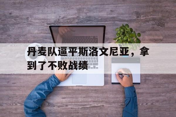 AYX SPORTS-丹麦队球迷
